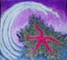 Starfish Theory_2